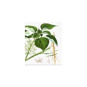 Nettle Root P.E. 3 4-divanillyltetrahydrofuran 95% HPLC 1KG/bag Nettle Root P.E. 3 4-divanillyltetrahydrofuran 95% HPLC 1KG/bag